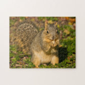 Grey Squirrel, eten, pinda, Crystal Springs Legpuzzel (Horizontaal)