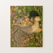 Grey Squirrel, eten, pinda, Crystal Springs Legpuzzel (Verticaal)
