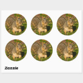 Grey Squirrel, eten, pinda, Crystal Springs Ronde Sticker (Vel)