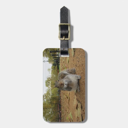Grey Squirrel Hyde Park London. Bagagelabel (Voorkant verticaal)