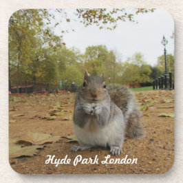 Grey Squirrel Hyde Park London. Drankjes Onderzetter