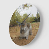 Grey Squirrel Hyde Park London. Grote Klok (Hoek)