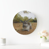 Grey Squirrel Hyde Park London. Grote Klok (Huis)