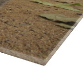 Grey Squirrel Hyde Park London. Snijplank (Hoek)