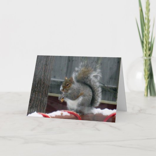 Grey Squirrel in de winter Feestdagen Kaart (Voorkant)