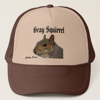 Grey Squirrel Pet