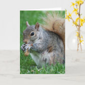 Grey Squirrel Wenskaart Kaart (Gele Bloem)