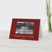 Grey Swan Christmas Kaart (Achterkant)