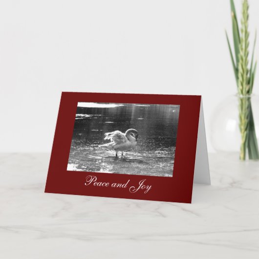 Grey Swan Christmas Kaart (Voorkant)