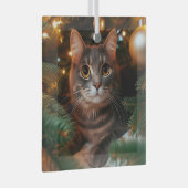 Grey Tabby Cat Glass Ornament (Voorkant Rechts)