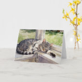 Grey Tabby Cat Study C In Watercolors Kaart (Gele Bloem)