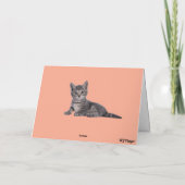 Grey Tabby en Rozen Kaart (Achterkant)