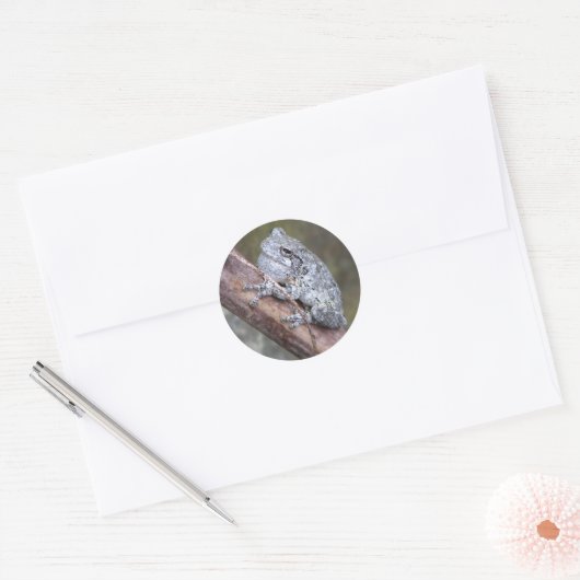 Grey Tree Frog Sticker (Envelop)