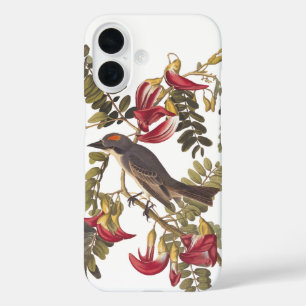 Grey Tyrant Audubon Bird op Hummingbird Tree iPhone 16 Hoesje