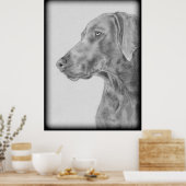 Grey Weimaraner Dog Poster (Keuken)