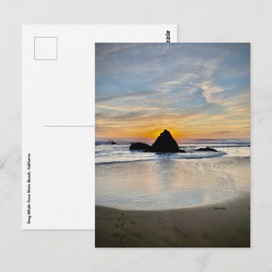 Grey Whale Cove State Beach, Californië Briefkaart (Voorkant / Achterkant)