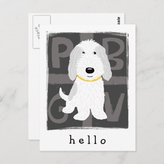 Grey & White PBGV Briefkaart (Voorkant / Achterkant)
