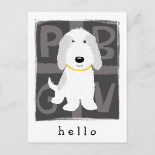 Grey & White PBGV Briefkaart