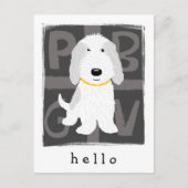 Grey & White PBGV Briefkaart (Voorkant)
