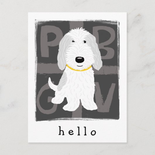 Grey & White PBGV Briefkaart (Voorkant)