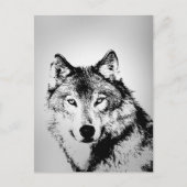 Grey Wolf Briefkaart (Voorkant)