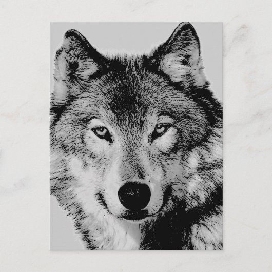 Grey Wolf Eyes Briefkaart (Voorkant)