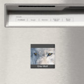 Grey Wolf Eyes Wildlife Collectie Magneet (Insitu (Vaatwasser))
