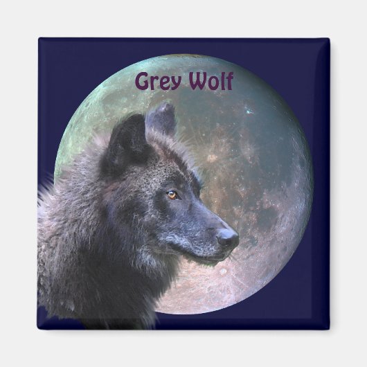 Grey Wolf & Full Moon Wildlife Collectie Magneet (Voorkant)