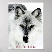 Grey Wolf Motivatie Freedom Poster Print (Voorkant)