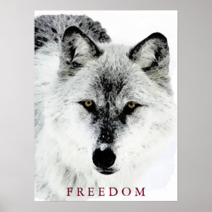 Grey Wolf Motivatie Freedom Poster Print