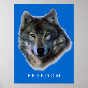 Grey Wolf Motivatie Freedom Poster Print