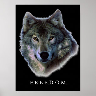 Grey Wolf Motivatie Freedom Poster Print