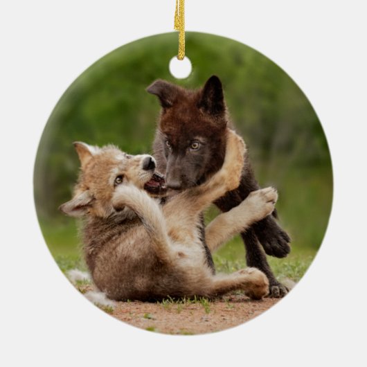 Grey Wolf Pups Worstelen Keramisch Ornament (Achterkant)