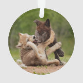 Grey Wolf Pups Worstelen Ornament (achterkant)