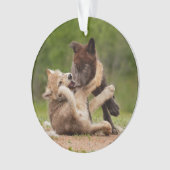 Grey Wolf Pups Worstelen Ornament (voorkant)
