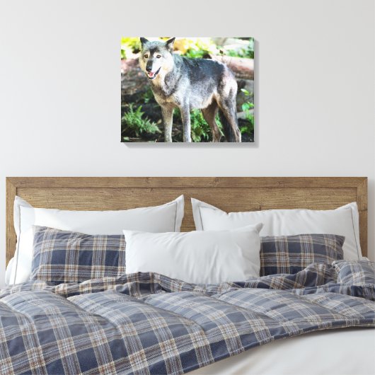 Grey Wolf Standing Alone Canvas Afdruk (Insitu (Slaapkamer))