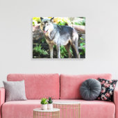 Grey Wolf Standing Alone Canvas Afdruk (Insitu (Woonkamer))