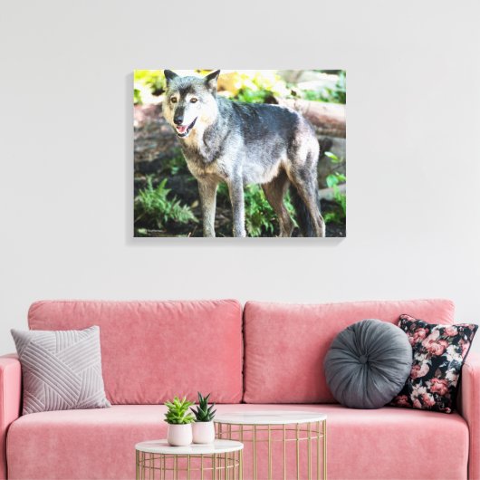 Grey Wolf Standing Alone Canvas Afdruk (Insitu (Woonkamer))