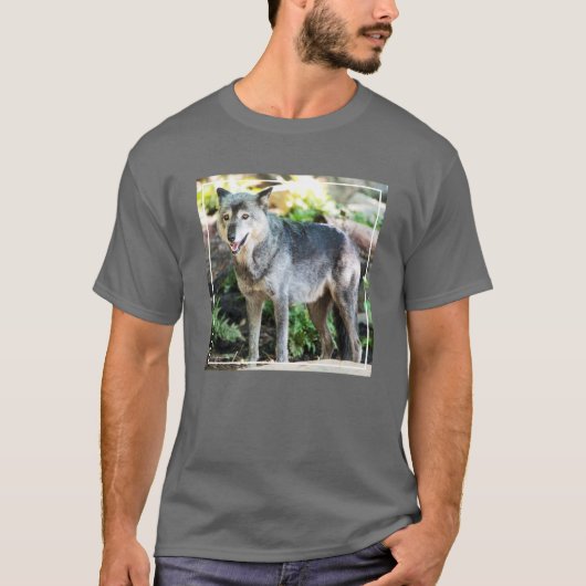 Grey Wolf Standing Alone T-shirt (Voorkant)