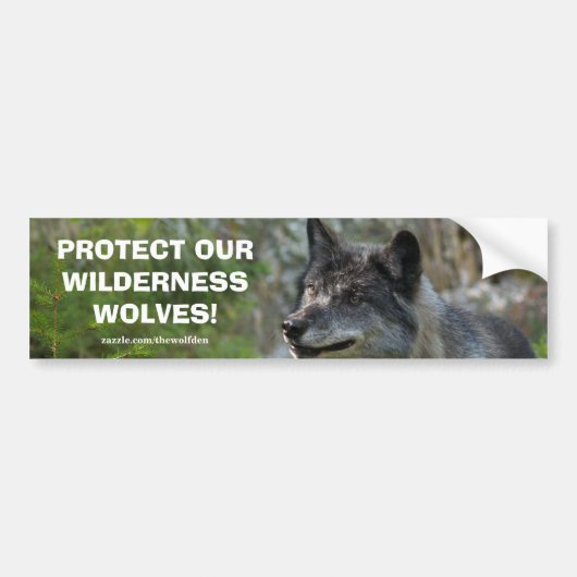 Grey Wolf Wildlife Conservation Bumpersticker (Voorkant)