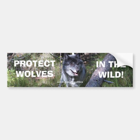 GREY WOLF Wildlife Conservation Bumpersticker (Voorkant)