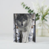 Grey Wolf & Winter Forest Wildlife Art Card Briefkaart (Staand voorkant)