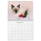 Greyfoot Cat Rescue 2013 Calendar Kalender (Feb 2027)
