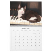 Greyfoot Cat Rescue 2013 Calendar Kalender (Jan 2027)