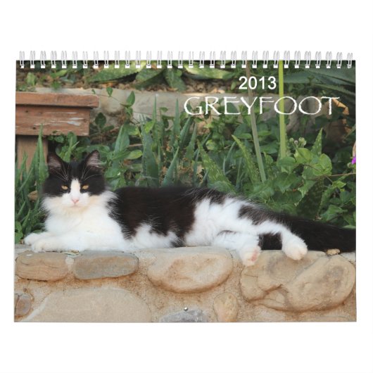 Greyfoot Cat Rescue 2013 Calendar Kalender (Hoes)
