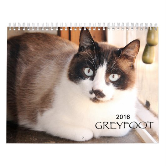Greyfoot Cat Rescue 2016 Calendar Kalender (Hoes)