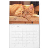 Greyfoot Cat Rescue 2016 Calendar Kalender (Jan 2027)