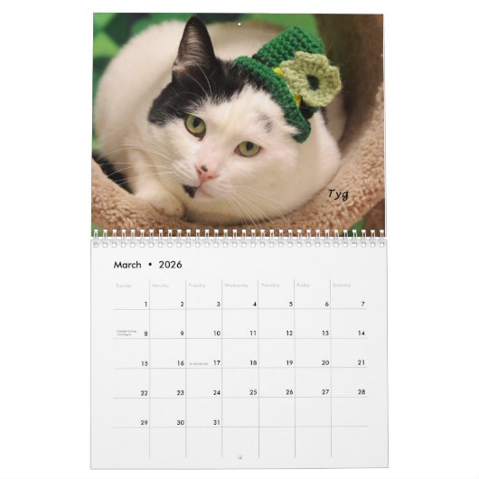 Greyfoot Cat Rescue 2017 Calendar Kalender (Mar 2026)