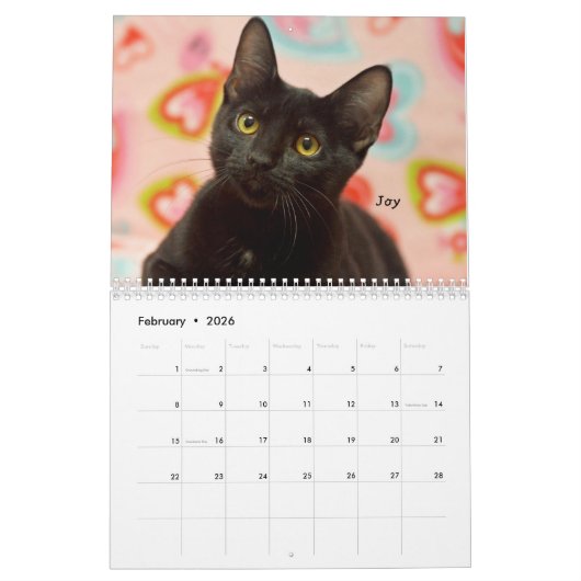 Greyfoot Cat Rescue 2017 Calendar Kalender (Feb 2026)