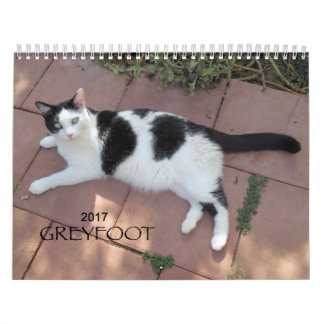 Greyfoot Cat Rescue 2017 Calendar Kalender